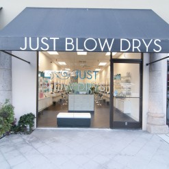 Just blow dry (store front)