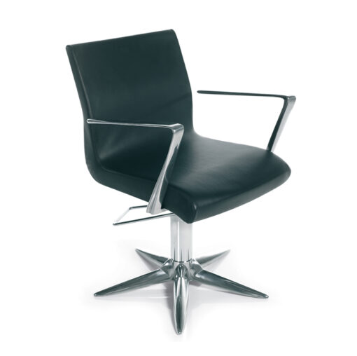 Aluotis Styling Chair